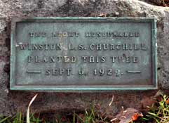 Plaque describing the Churchill tree ceremony