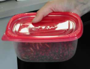 Tupperware container for ladybug distribution