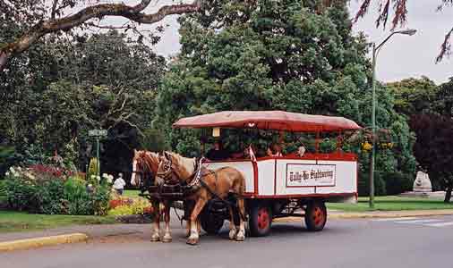 Tally Ho Wagon in 2004