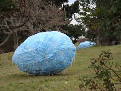 Giant blue ball on Beacon Hill