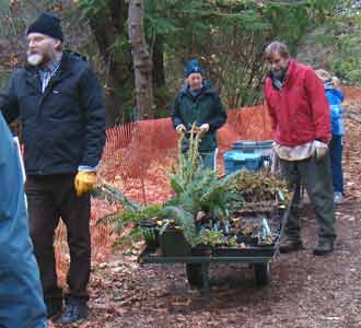 Planting native species in the Southeast Woods