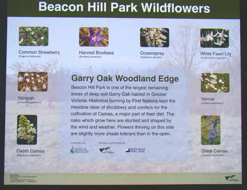 Sign showing flowers on the edge of woodlands