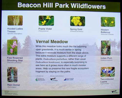Sign showing flowers in vernal meadows
