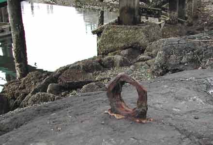 Rusted ring just above the dock